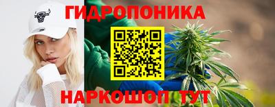 mdpv Севастополь