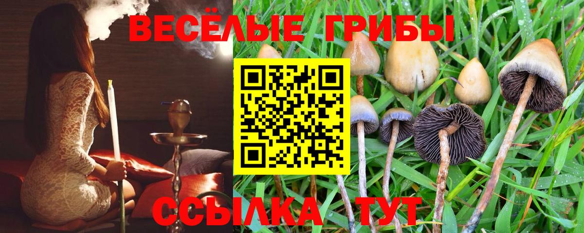 Галлюциногенные грибы Psilocybine cubensis  Вход с VPN  Нальчик  Псилоцибиновые грибы MAGIC MUSHROOMS 