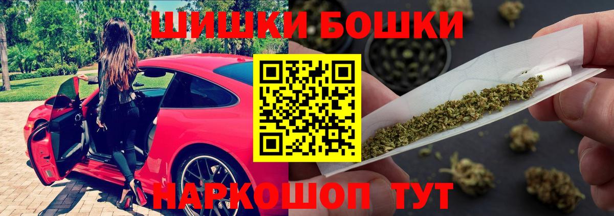 Каннабис сатива Нальчик