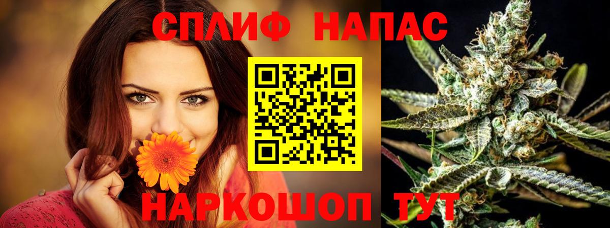 Бошки марихуана план  Марихуана семена  Нальчик  Каннабис гибрид  Вход с VPN  Бошки марихуана VHQ 